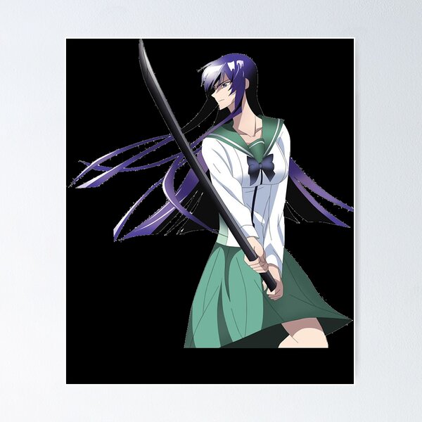 Double Sided Anime Poster: Highschool of the Dead, Samurai Girls