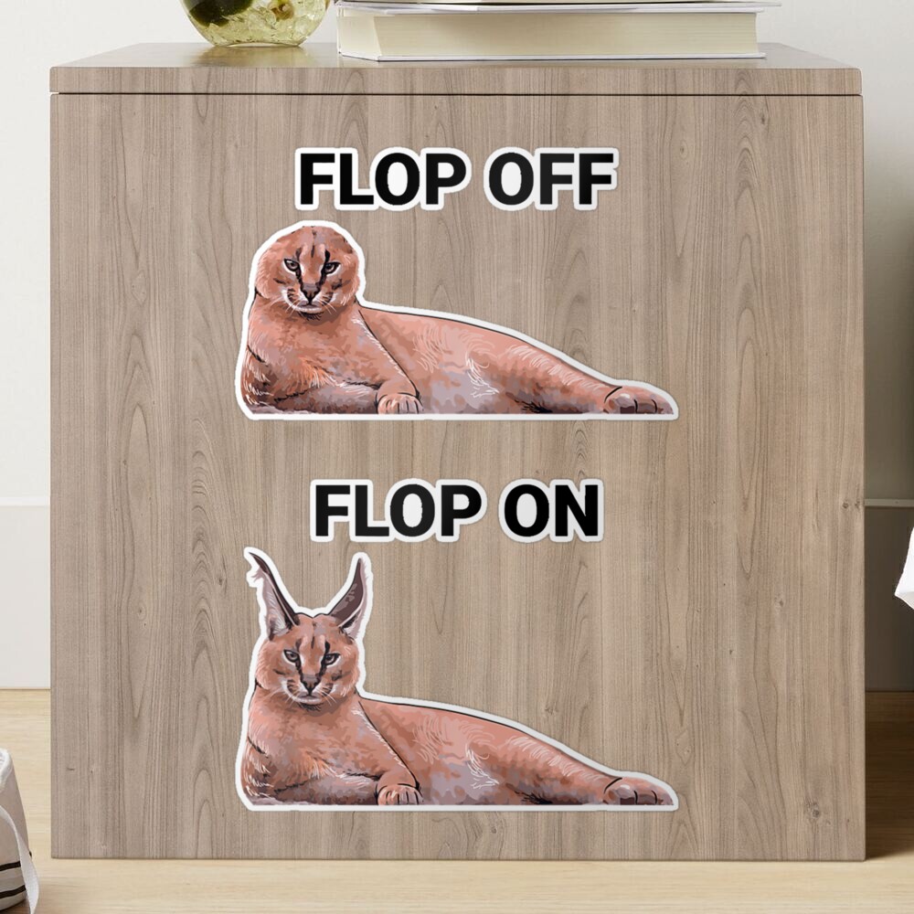 Big Floppa Cat flop off flop on Funny Classic T-Shirt | Sticker