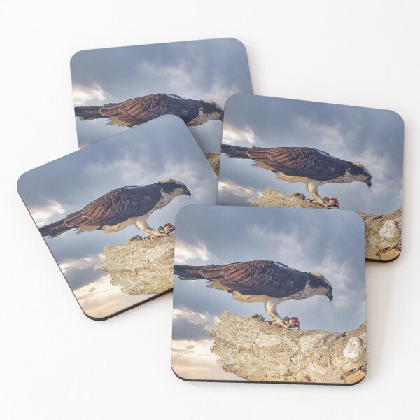 Item preview, Osprey in tree with fish designed and sold by KDartisticeye.