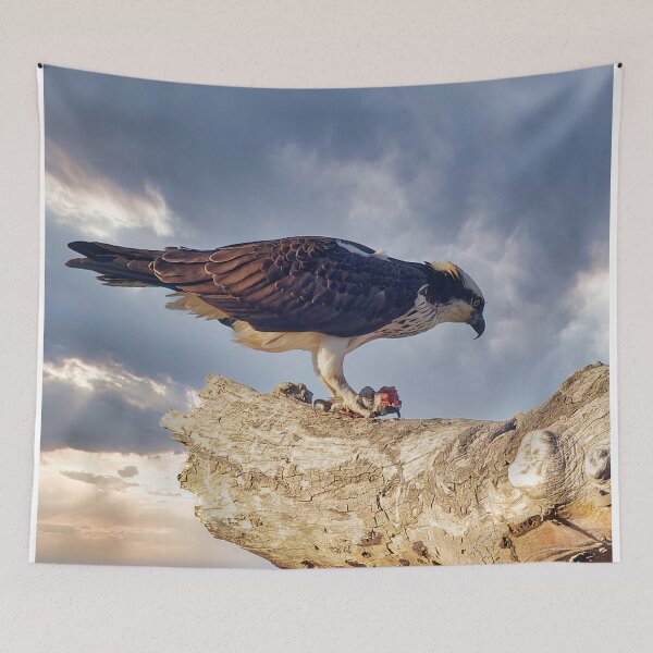 Item preview, Osprey in tree with fish designed and sold by KDartisticeye.