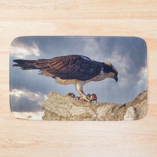 Item preview, Osprey in tree with fish designed and sold by KDartisticeye.