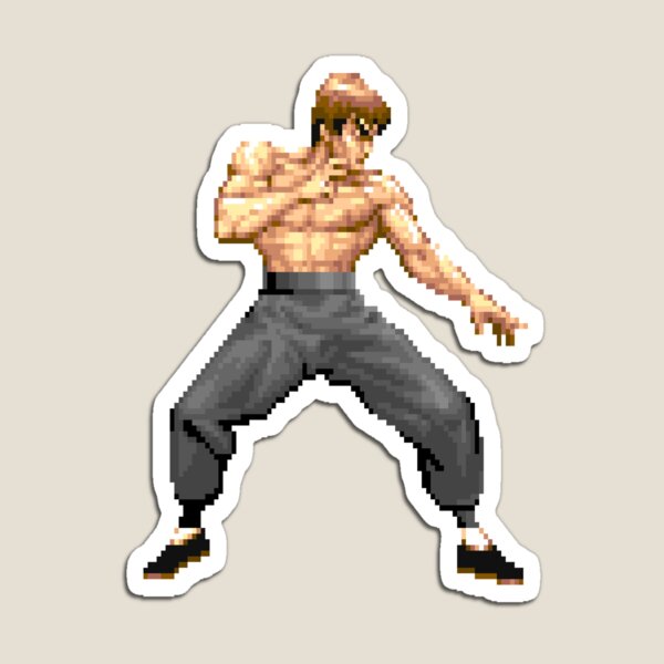 Ryu Fighting Stance SF3 Magnet for Sale by ropified