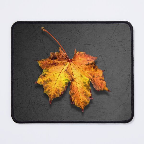 Item preview, Just one leaf designed and sold by pallkris.