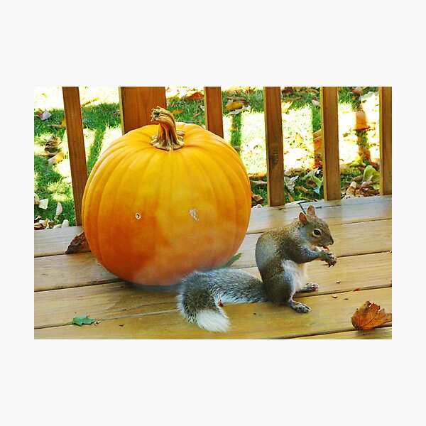 Item preview, Denizen Of The Lakeshore designed and sold by artwhiz47.