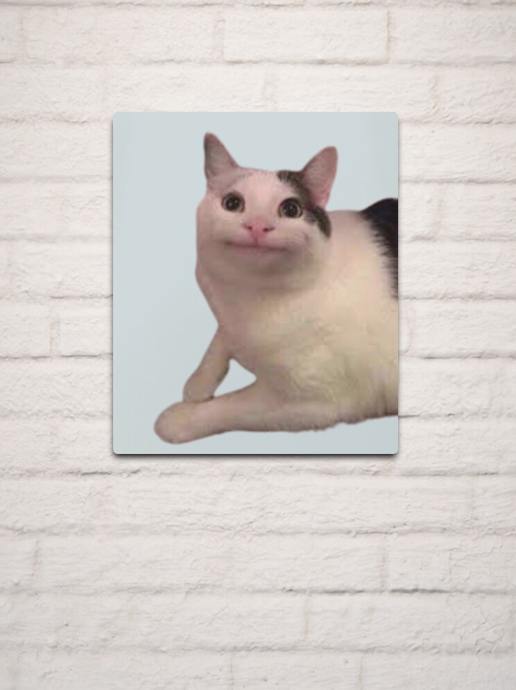 beluga cat meme | Art Board Print