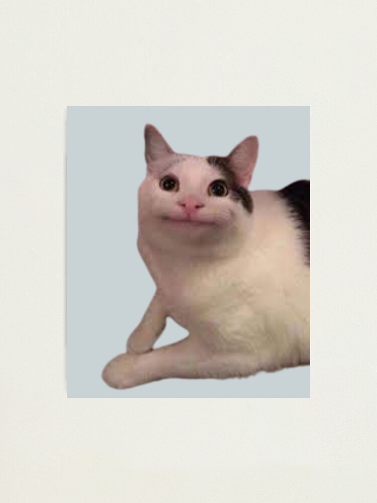 Beluga cat, Beluga Cat Meme, Meme Art Board Print for Sale by