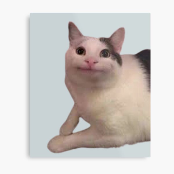 Download Beluga Cat Near Printed Picture Wallpaper