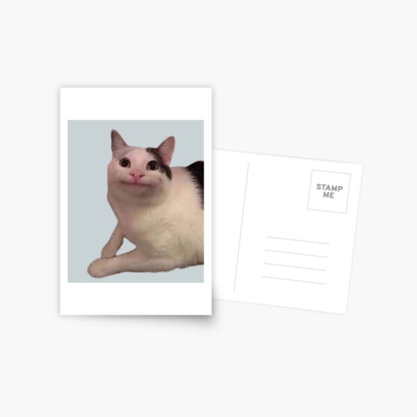 Polite Cat Meme Featuring Cute Beluga Cat A Funny Cat Meme Depicting A Cute  Cat Smiling, Funny Cat Pun And A Happy Cat | iPad Case & Skin