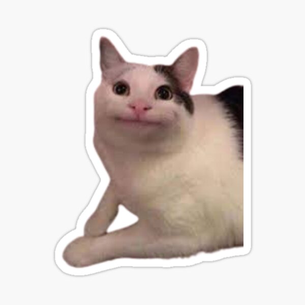 Beluga cat, Beluga Cat Meme, Meme Sticker for Sale by graphic