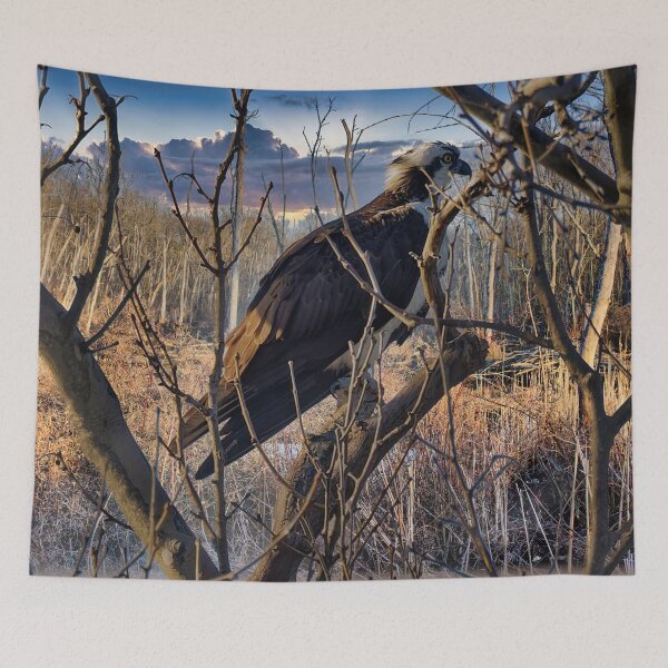 Item preview, Osprey in dead tree designed and sold by KDartisticeye.