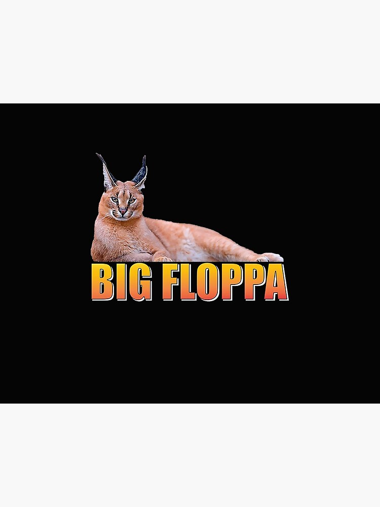 Funny Big Floppa Cat Meme Rapper Gifts Mug | Poster