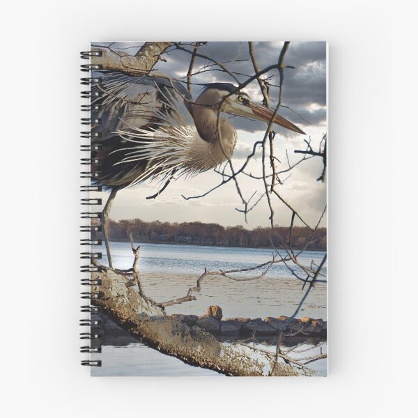 Item preview, Great Blue Herron in tree designed and sold by KDartisticeye.