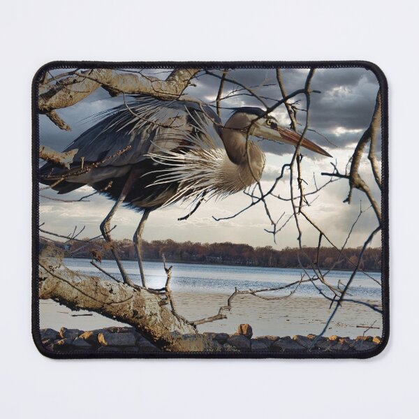 Item preview, Great Blue Herron in tree designed and sold by KDartisticeye.