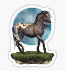 Storm .. an appaloosa stallion Sticker