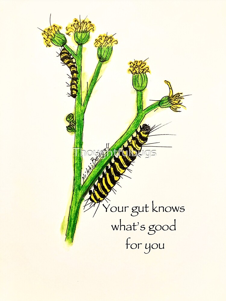 Gut health by Thoughtfulbugs