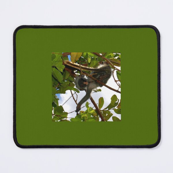 Item preview, Curiosity from Above designed and sold by David JC.
