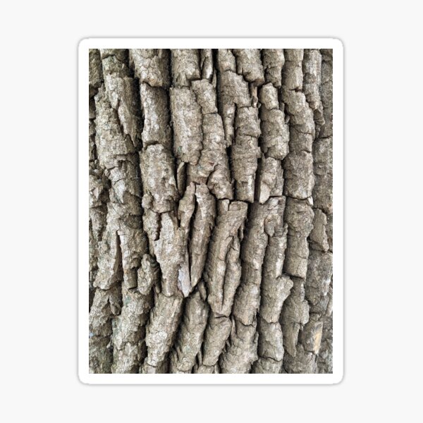 Tree bark Sticker