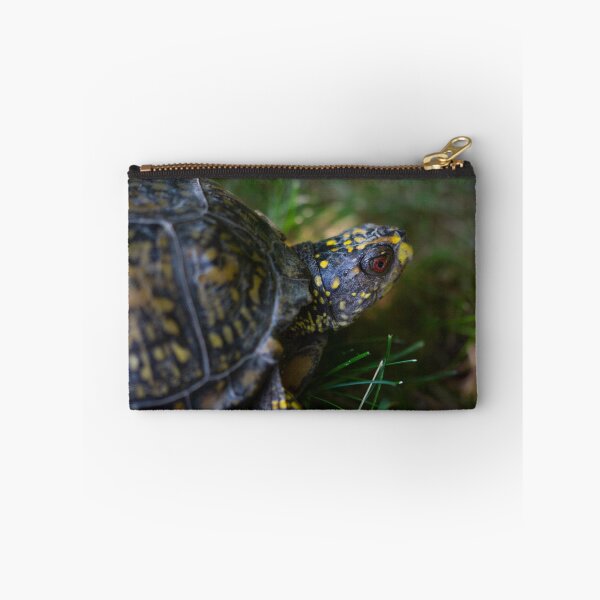 Item preview, box turtle designed and sold by ccorrigan1.