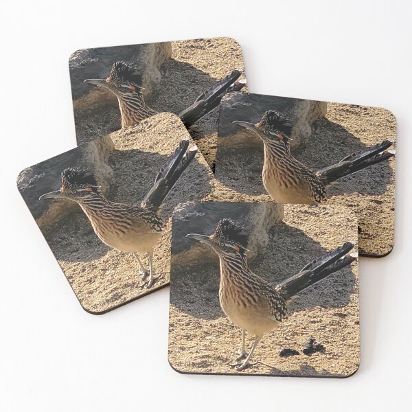 Item preview, Roadrunner posing for a treat designed and sold by JAYMILO.