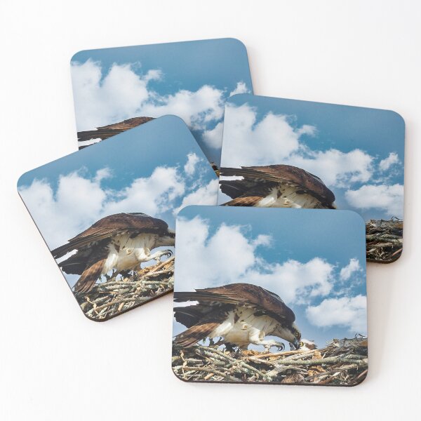 Item preview, Osprey feeding baby designed and sold by KDartisticeye.