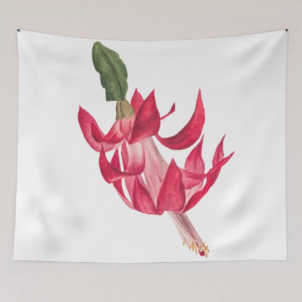 Item preview, Christmas Cactus Vintage Illustration by Mary Vaux Walcott designed and sold by Happy-Trails.