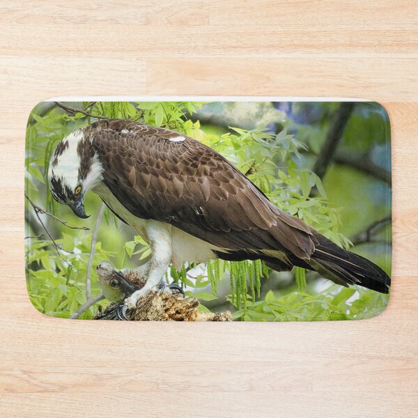 Item preview, Osprey in tree designed and sold by KDartisticeye.