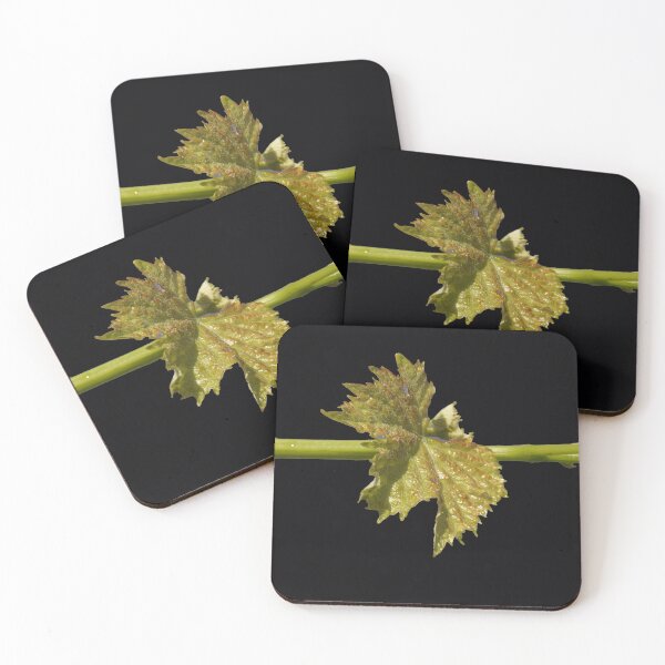 Item preview, Vine Leaf on black background by Adelaide artist Avril Thomas at Magpie Springs designed and sold by MagpieSprings.