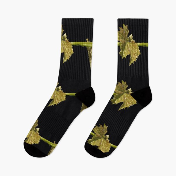 Item preview, Vine Leaf on black background by Adelaide artist Avril Thomas at Magpie Springs designed and sold by MagpieSprings.