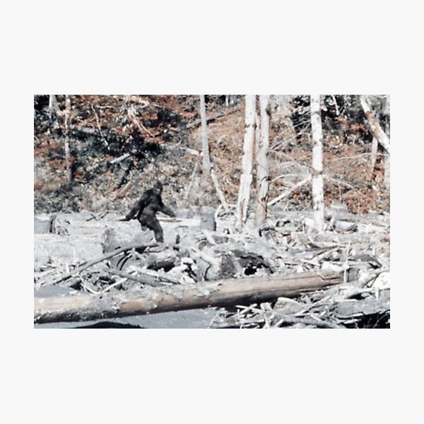 Bigfoot Caught On Camera!!! Photographic Print