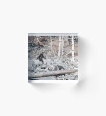 Bigfoot Caught On Camera!!! Acrylic Block