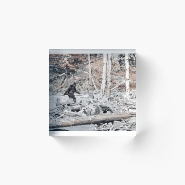 Bigfoot Caught On Camera!!! Acrylic Block