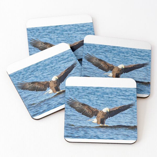 Item preview, Bald Eagle landing designed and sold by KDartisticeye.