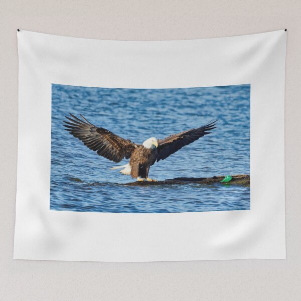 Item preview, Bald Eagle landing designed and sold by KDartisticeye.