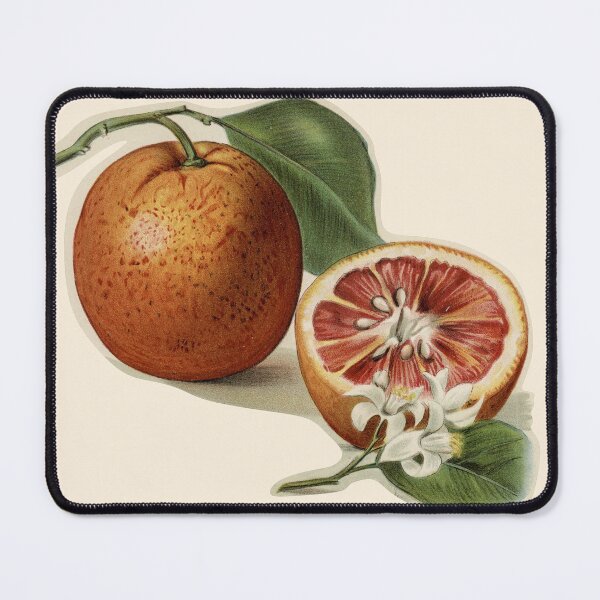 Item preview, Orange Blossom designed and sold by ZinZoe.