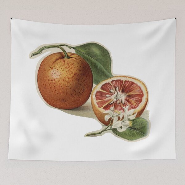 Item preview, Orange Blossom designed and sold by ZinZoe.