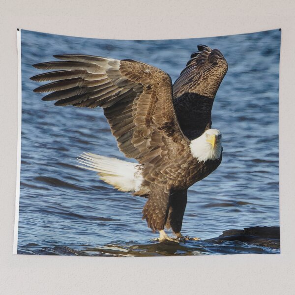 Item preview, Bald Eagle landing in river designed and sold by KDartisticeye.