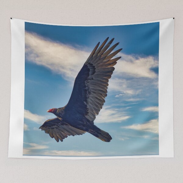 Item preview, Turkey Vulture designed and sold by KDartisticeye.