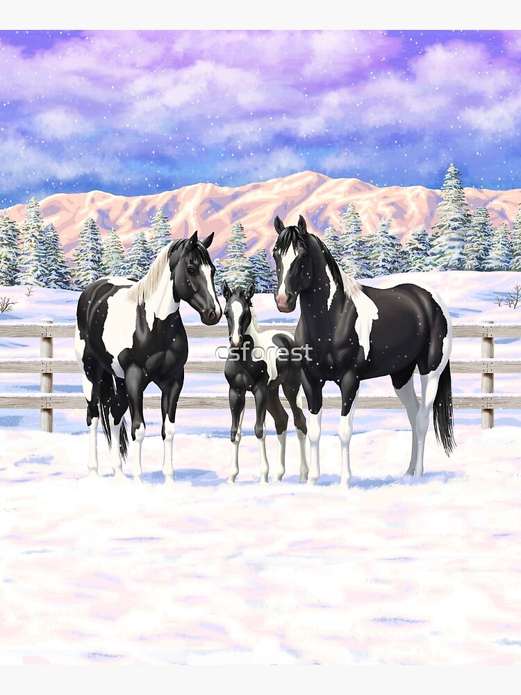 Black Paint Horse Pinto Quarter Horses in Snow by csforest