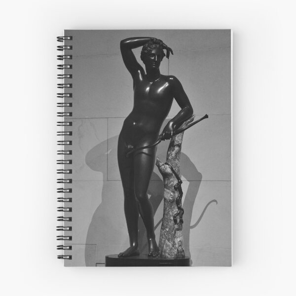 Item preview, Apollino of the villa medici designed and sold by Matsumoto.
