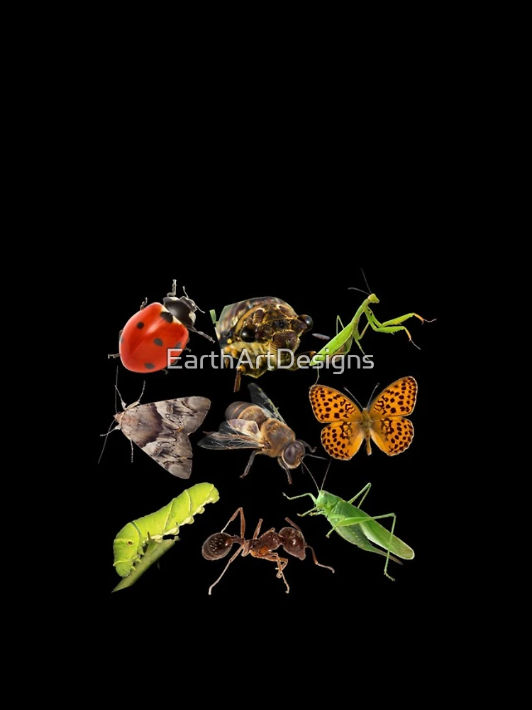 Thumbnail 4 of 4, iPhone Case, Native Insects In A Row Colorful Design designed and sold by EarthArtDesigns.