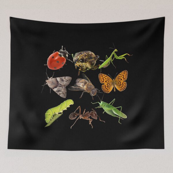 Tapestry