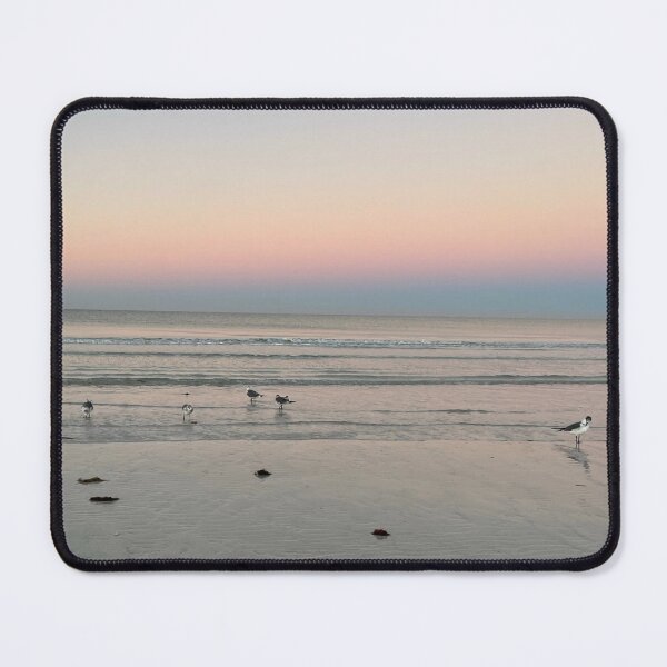 Item preview, Good Morning Siesta Key - Sunrise Seagull View  designed and sold by jessicaleah15.