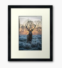 Golden Shot Framed Print