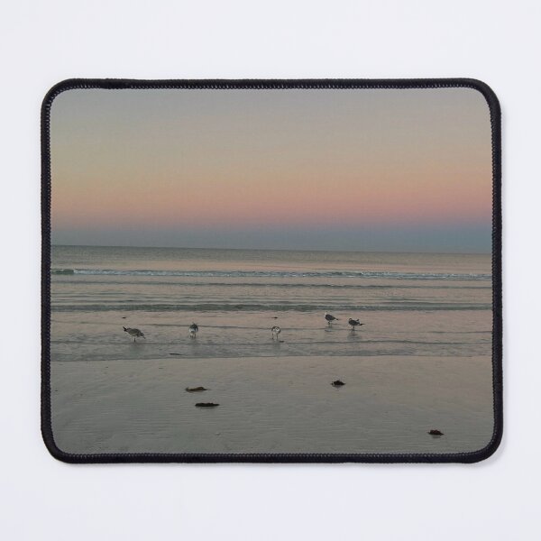 Item preview, Good Morning Siesta Key - Sunrise Seagull View  designed and sold by jessicaleah15.