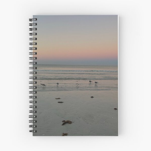 Item preview, Good Morning Siesta Key - Sunrise Seagull View  designed and sold by jessicaleah15.