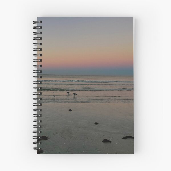 Item preview, Good Morning Siesta Key - Sunrise Cotton Candy Seagull View  designed and sold by jessicaleah15.