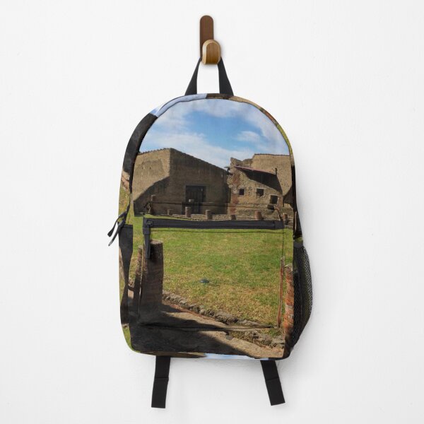 Item preview, Pompeii (3) designed and sold by CncptulCaptures.