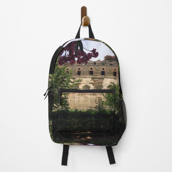 Item preview, Pompeii (4) designed and sold by CncptulCaptures.