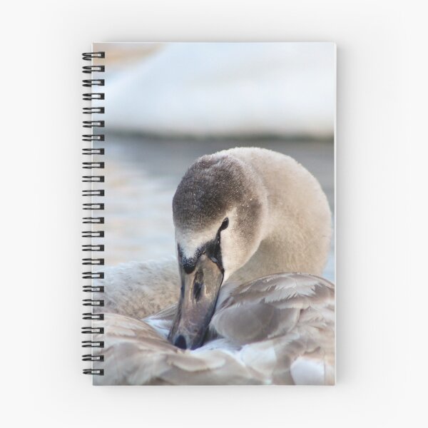 Item preview, Preening designed and sold by GreyFeatherPhot.