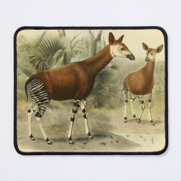 Item preview, Beautiful Zoology Art designed and sold by SidhuKeet1.
